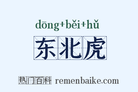 东北虎是什么意思的图片